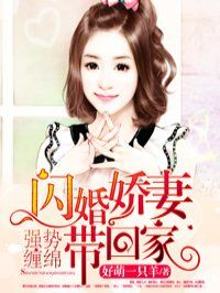 闪婚娇妻