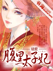 错爱腹黑太子妃