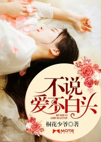 不说爱，不白头