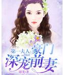 第一夫人：豪门深宠前妻