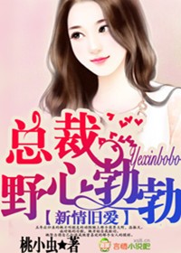 新情旧爱，总裁野心勃勃