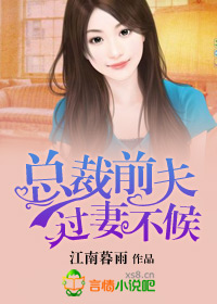 总裁前夫，过妻不候