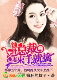 私人定制，首席的逃妻