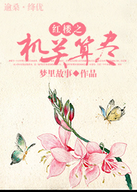 红楼之机关算尽