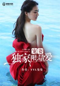 宠妻独家限量爱