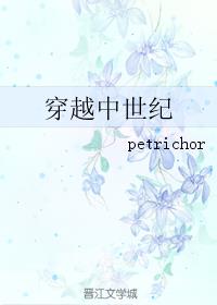 穿越中世纪