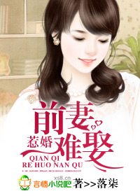 惹婚，前妻难娶