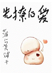 先撩后爱[娱乐圈]