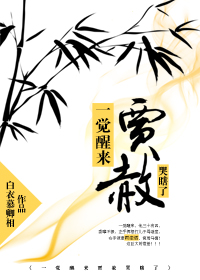 一觉醒来贾赦哭瞎了