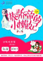 傲娇帝的小懒妃