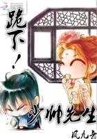 跪下，少帅先生！