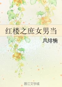 红楼之庶女男当
