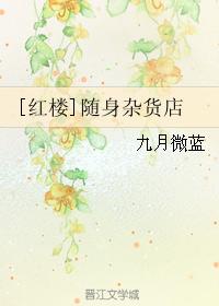 [红楼]随身杂货店