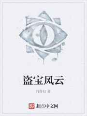 盗宝风云