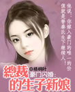 豪门闪婚：总裁的生子新娘