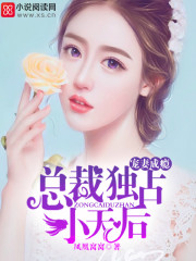 宠妻成瘾：总裁独占小天后