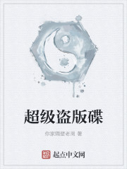 超级盗版碟