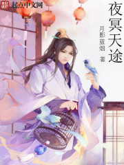 夜冥天途