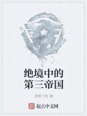 绝境中的第三帝国