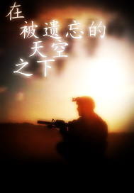 在被遗忘的天空之下