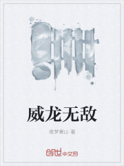威龙无敌